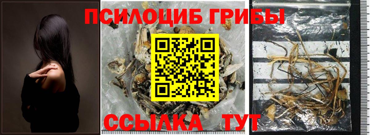 Майкоп  Псилоцибиновые грибы мухоморы  Галлюциногенные грибы мицелий  закладки  Вход с VPN 